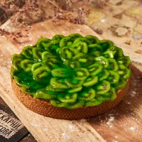 Венский пирог КИВИ 1 кг Венский пирог КИВИ 1 кг